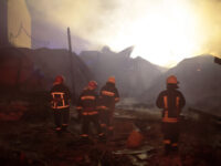 platform, bushfire recovery