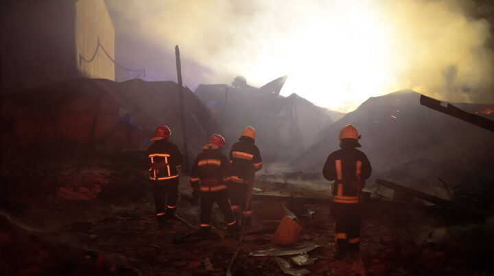 platform, bushfire recovery