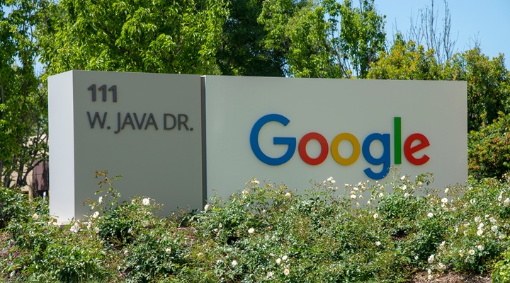 Google sign amid bushes