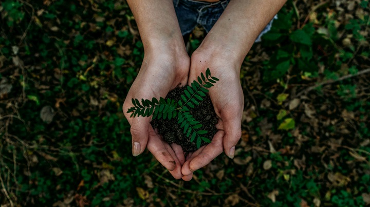 eco-friendly,