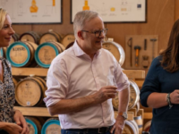 Anthony Albanese as a Tasmanian distillery