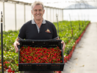 Packaging innovation that aims to reduce plastic waste