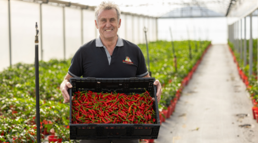 Packaging innovation that aims to reduce plastic waste