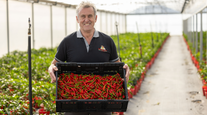 Packaging innovation that aims to reduce plastic waste