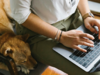 Woman working on laptop with dog lying next to her.